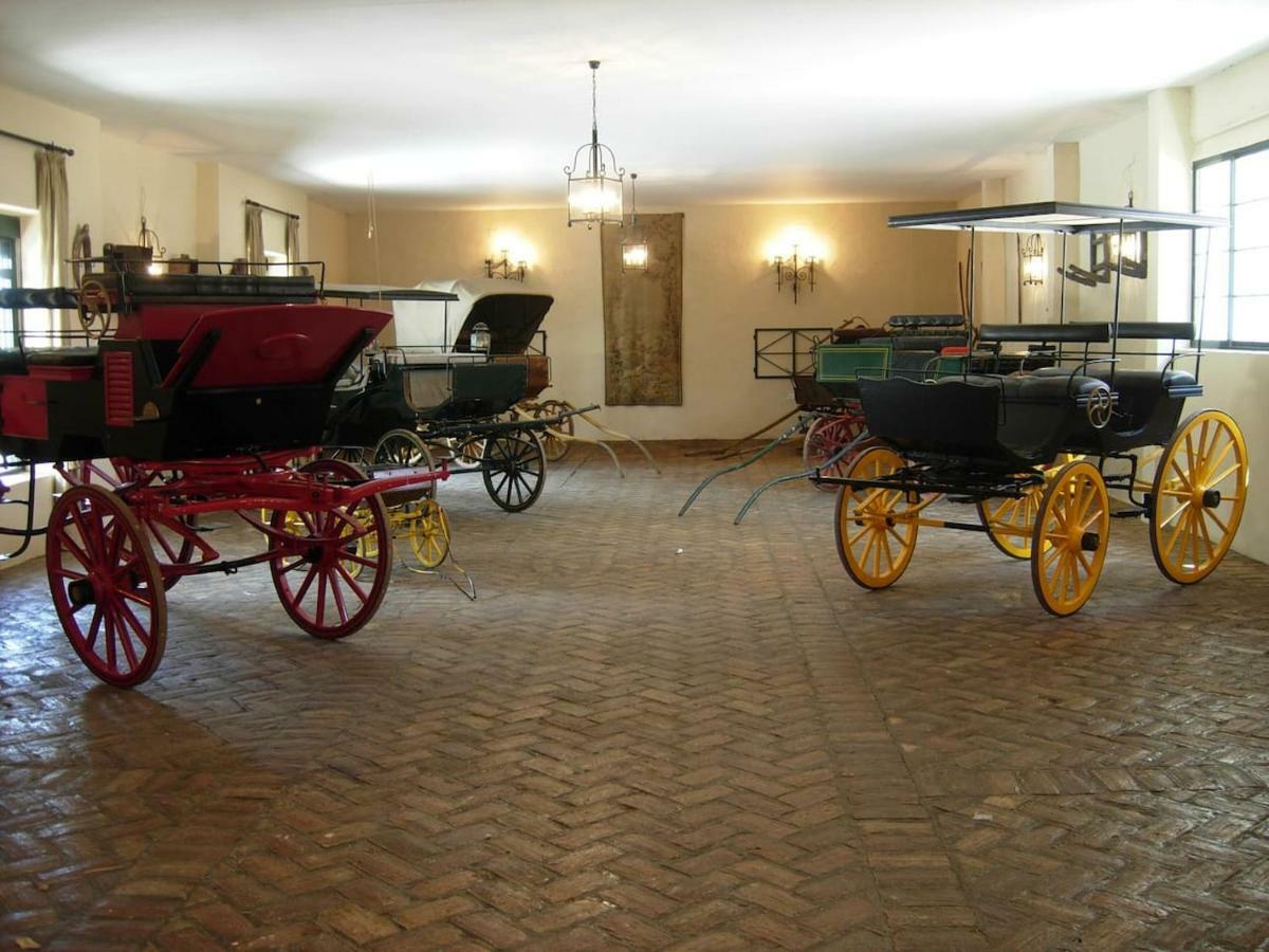 Hacienda Chambergo Casa En La Campina Sevillana Écija Exterior foto